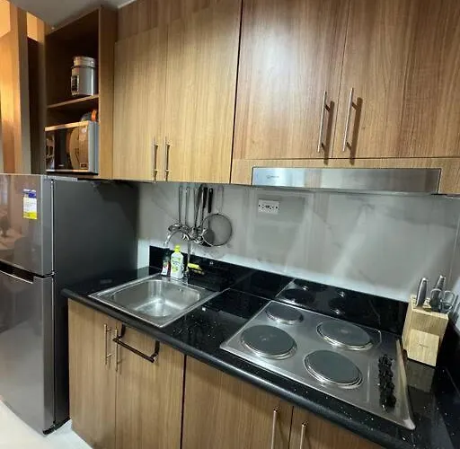 Apartment 2br Unit In Smdc Shore 3 With Pool Access *